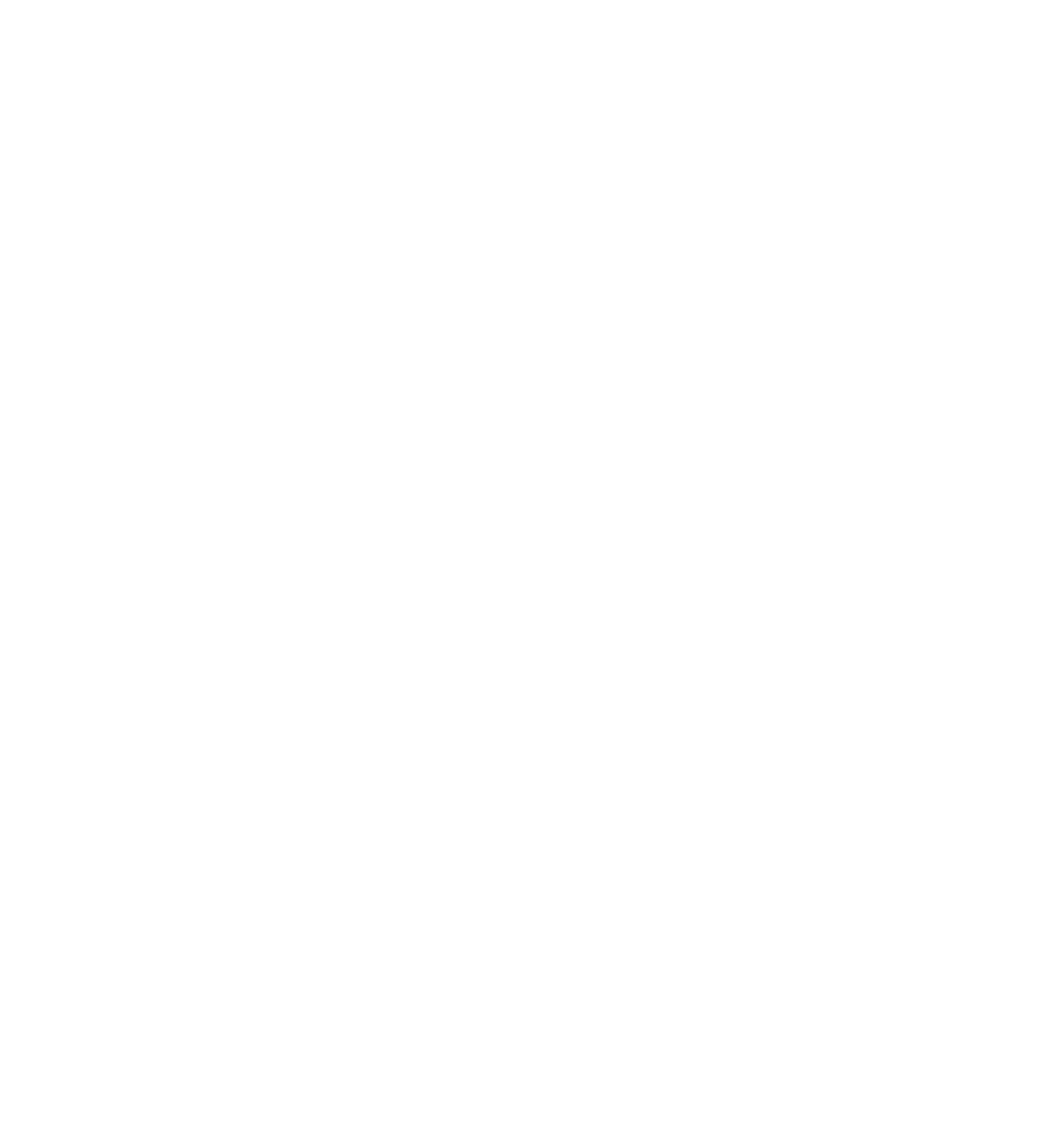 Datoriķi